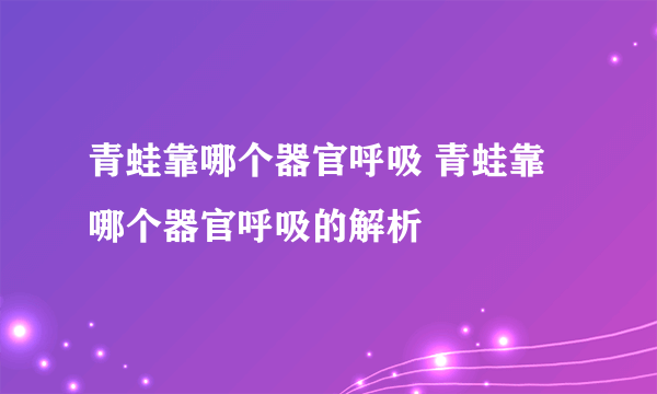 青蛙靠哪个器官呼吸 青蛙靠哪个器官呼吸的解析