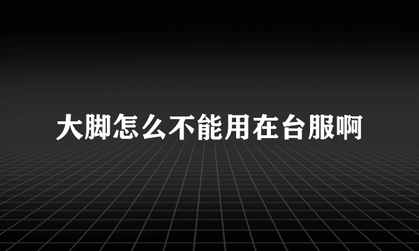 大脚怎么不能用在台服啊