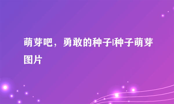 萌芽吧，勇敢的种子|种子萌芽图片