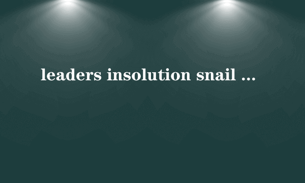leaders insolution snail cold serum是韩国什化妆品
