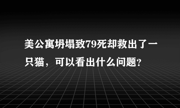 美公寓坍塌致79死却救出了一只猫，可以看出什么问题？