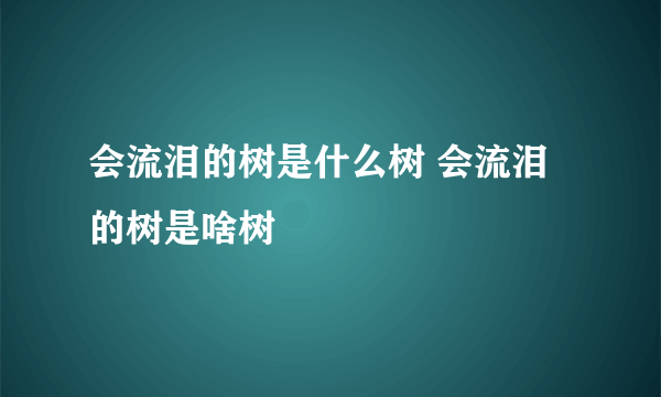 会流泪的树是什么树 会流泪的树是啥树