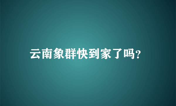 云南象群快到家了吗？