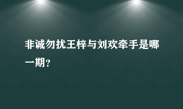 非诚勿扰王梓与刘欢牵手是哪一期？