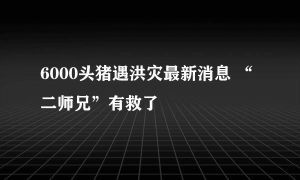 6000头猪遇洪灾最新消息 “二师兄”有救了