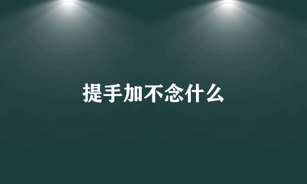提手加不念什么