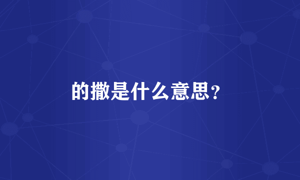 的撒是什么意思？