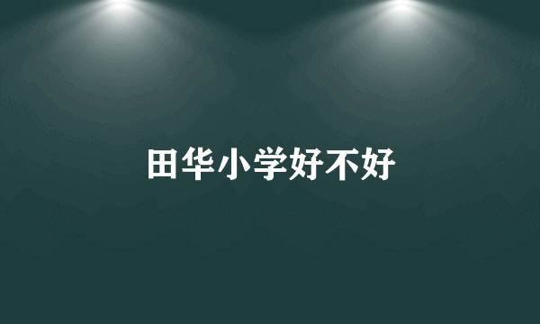田华小学好不好