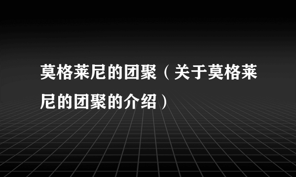 莫格莱尼的团聚（关于莫格莱尼的团聚的介绍）