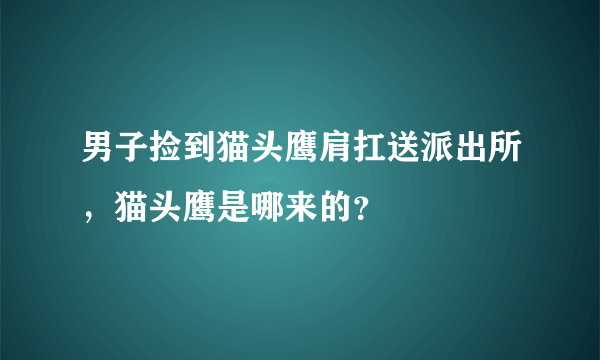 男子捡到猫头鹰肩扛送派出所，猫头鹰是哪来的？
