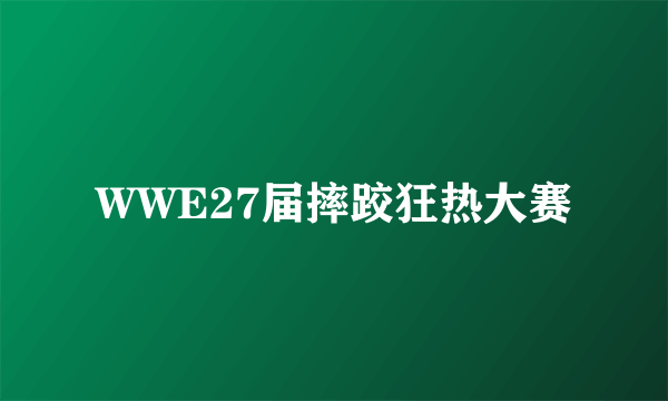 WWE27届摔跤狂热大赛