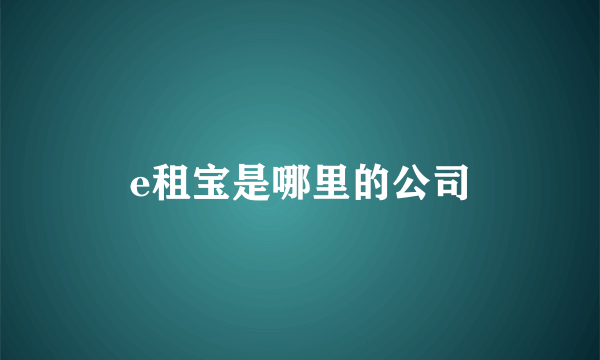 e租宝是哪里的公司