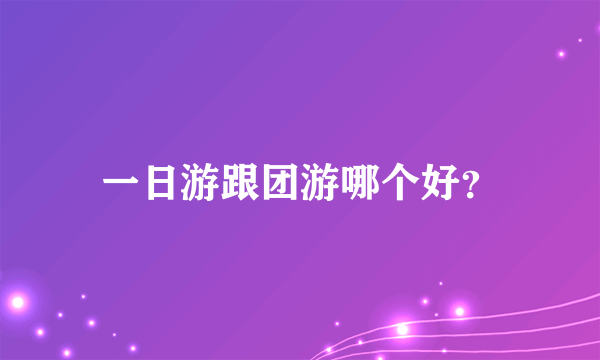 一日游跟团游哪个好？