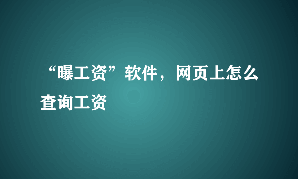 “曝工资”软件，网页上怎么查询工资