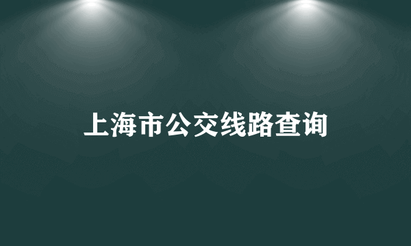 上海市公交线路查询