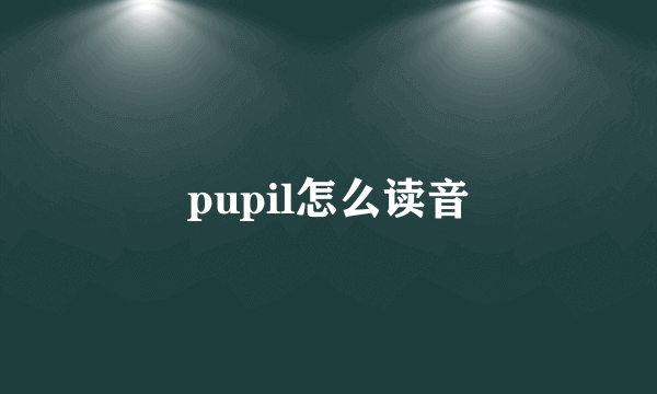 pupil怎么读音
