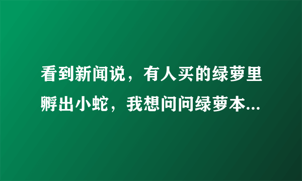 看到新闻说，有人买的绿萝里孵出小蛇，我想问问绿萝本身招不招蛇