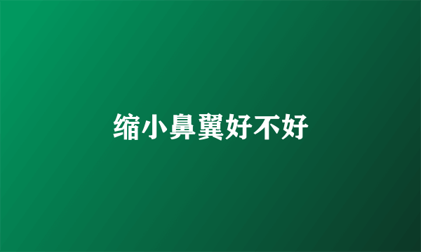 缩小鼻翼好不好