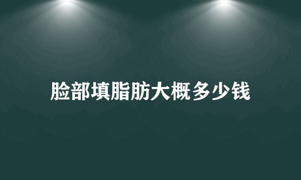脸部填脂肪大概多少钱