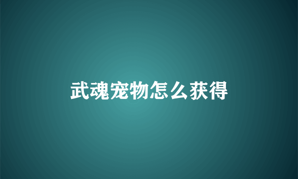 武魂宠物怎么获得